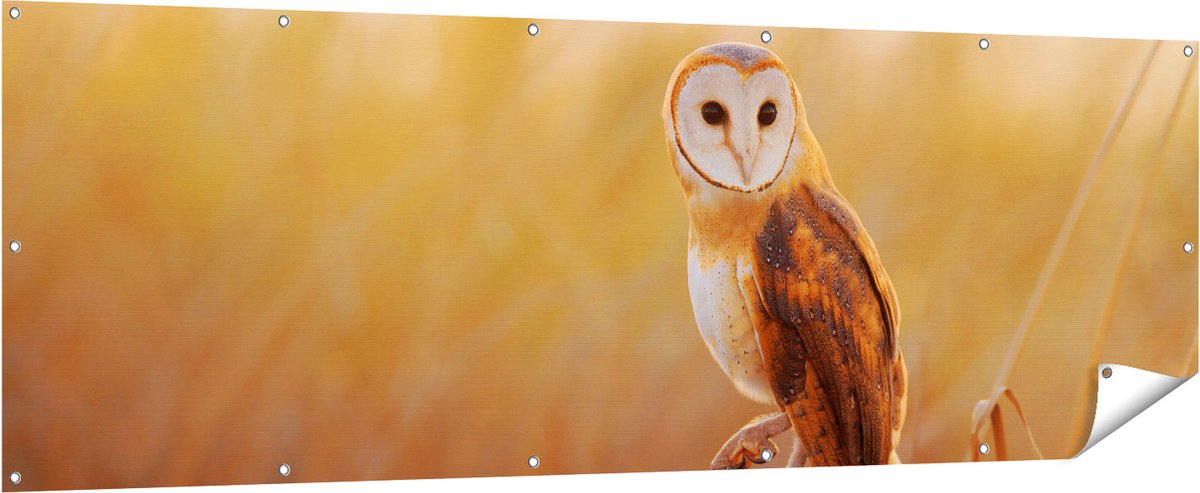 Gards Tuinposter Kerkuil op een Boomstronk - 210x70 cm - Tuindoek - Tuindecoratie - Wanddecoratie buiten - Tuinschilderij Multikleur