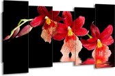 GroepArt - Canvas Schilderij - Orchidee - Rood, Zwart, Wit - 150x80cm 5Luik- Groot Collectie Schilderijen Op Canvas En Wanddecoraties