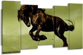 GroepArt - Canvas Schilderij - Paard - Bruin, Groen, Zwart - 150x80cm 5Luik- Groot Collectie Schilderijen Op Canvas En Wanddecoraties