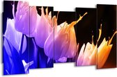Peinture sur toile Tulipe | Orange, violet, bleu | 150x80cm 5Liège