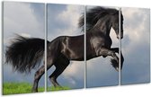 GroepArt - Glasschilderij - Paard - Zwart, Groen, Wit - 160x80cm 4Luik - Foto Op Glas - Geen Acrylglas Schilderij - 6000+ Glasschilderijen Collectie - Wanddecoratie
