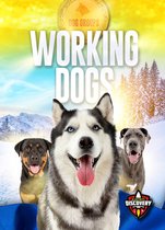 Dog Groups - Working Dogs