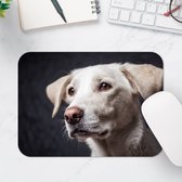 Muismat - Schattige Witte Hond - 25x18 cm - 2 mm Dik - Muismat van Vinyl