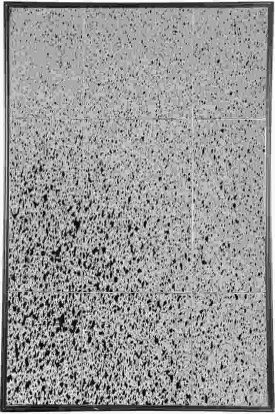 PTMD Diwa Spiegel - 120 x 3 x 180 cm - Glas - Zwart