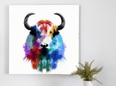 Jack the yak | Jack the Yak | Kunst - 30x30 centimeter op Canvas | Foto op Canvas