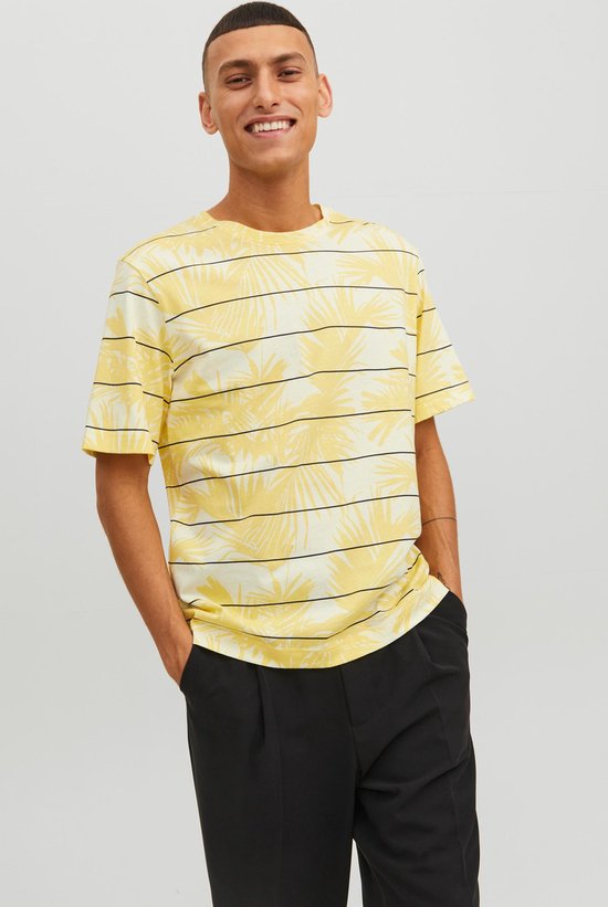 JACK & JONES JORLAFAYETTE AOP Tee SS Crew Neck MNI