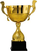 Trofee/bokaal - goud - oren - kunststof - 36 x 18 cm - sportprijs