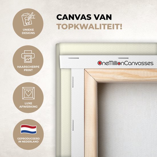 Canvas schilderij - Foto op canvas- Giraffe - Patroon - Skateboard - Roze - Dieren - 120x90 cm - Wanddecoratie