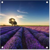 Tuinposter lavendel - Tuindecoratie bloemen - 50x50 cm - Wanddecoratie voor buiten - Schutting decoratie paars - Buitenposter - Paarse schuttingdoek - Tuindoeken - Tuin doek - Balkon poster