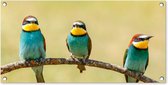 Tuinposter - Vogels - Dieren - Tak - Natuur - Mos - 80x40 cm - Tuinschilderij - Wanddecoratie - Tuindecoratie - Tuindoek