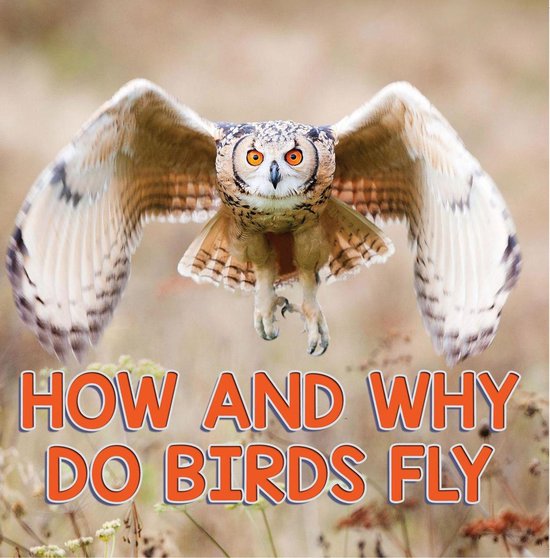 Children's Bird Books (Ornithology) - How and Why Do Birds F ... - cover
