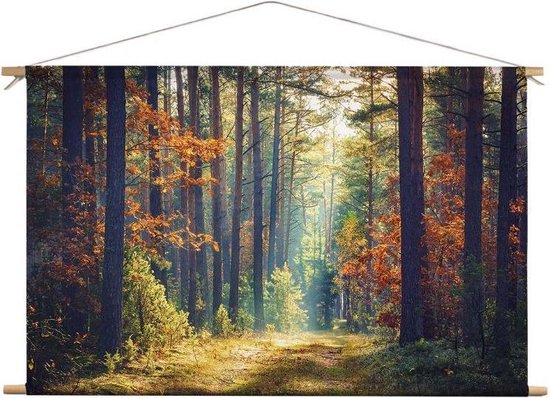 bol.com | Bos in de herfst | 120 x 80 CM | Natuur | Schilderij |  Textieldoek | Textielposter |...
