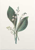Lelietje-van-dalen (Lily of the Valley) - Foto op Posterpapier - 42 x 59.4 cm (A2)