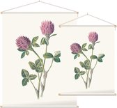 Rode Klaver (Red Meadow Clover) - Foto op Textielposter - 60 x 80 cm