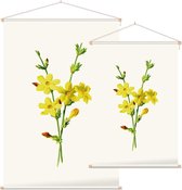 Kamerjasmijn (Winter Jasmine White) - Foto op Textielposter - 40 x 60 cm