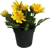 Kunstplant - In Pot - Margrietje - Geel - In cadeauverpakking met gekleurd lint