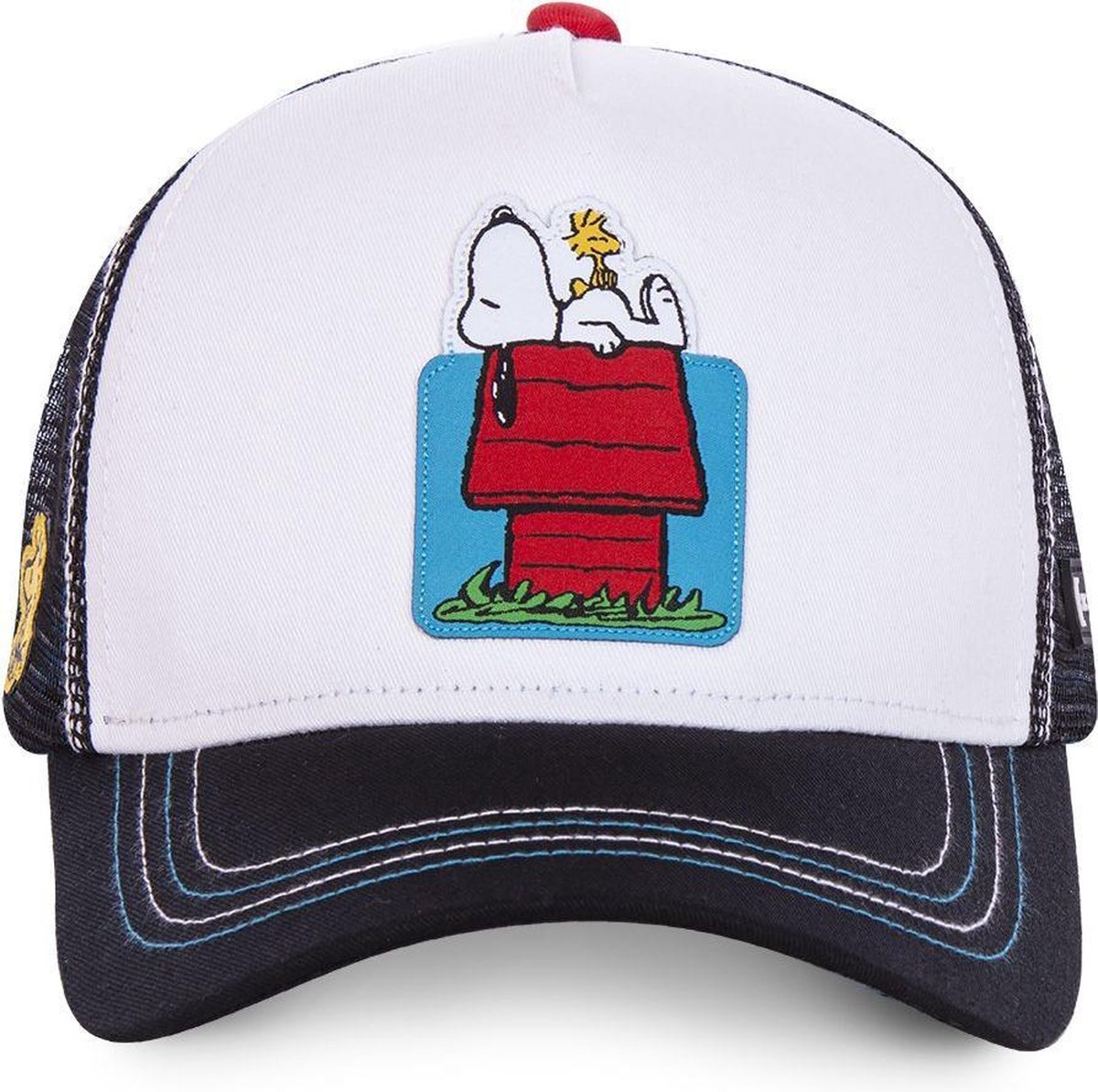 Pet | Cap | Capslab | Peanuts | Wit