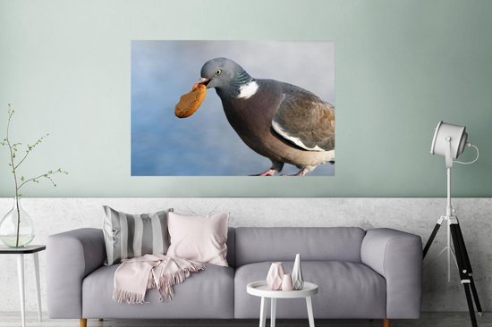 Un vilain pigeon avec un biscuit dans la bouche Poster 180x120 cm - Tirage photo sur Poster (décoration murale salon / chambre) / Poster Vogels XXL / Groot format!