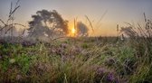 Fotobehang heideveld zonsopkomst in de mist 250 x 260 cm - € 175,--