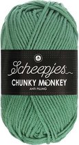 Scheepjes Chunky Monkey 100g - 1725 Eucalyptus - Groen