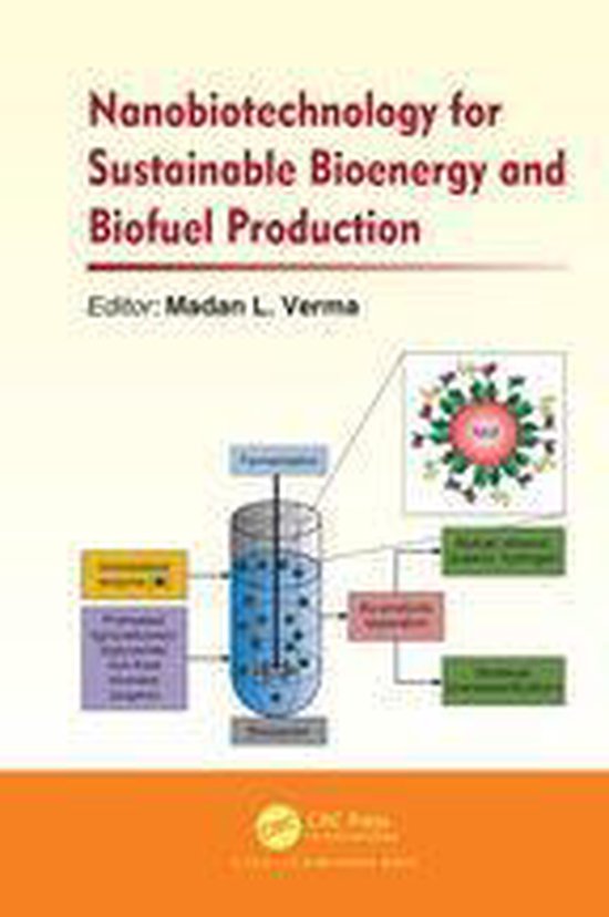 Nanobiotechnology for Sustainable Bioenergy and Biofuel Prod ... - cover