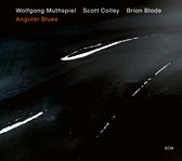 Wolfgang Muthspiel - Angular Blues (LP)