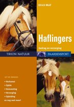 Haflingers