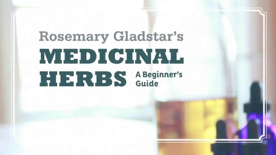 Beginners Guide To Medicinal Herbs