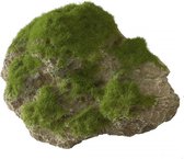 Auqa Della Moss stone with suction cup M - 16x11x11CM