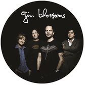 Gin Blossoms - Live In Concert (LP) (Picture Disc)