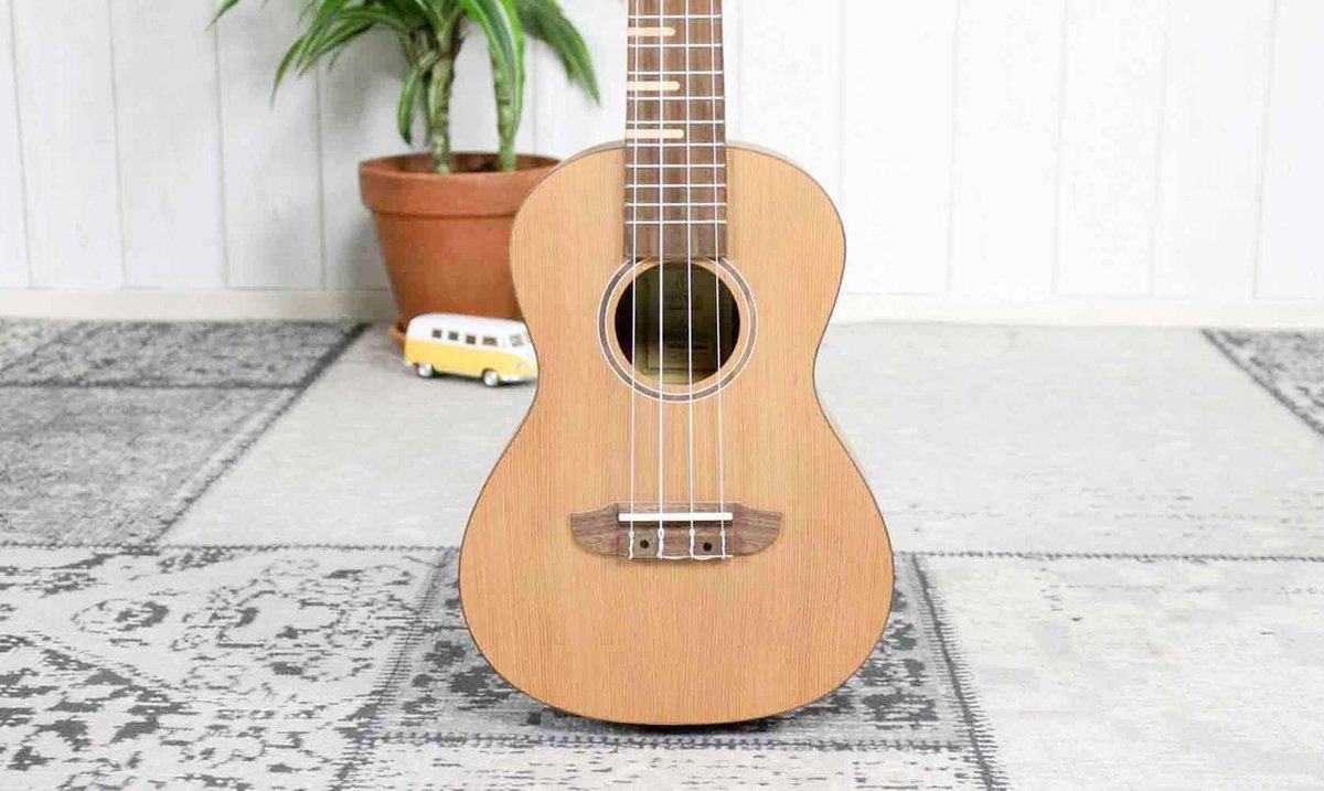 Ortega RUTI-CC Ukulele Timber serie Concert
