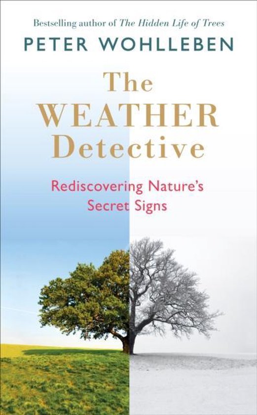 The Weather Detective - cover