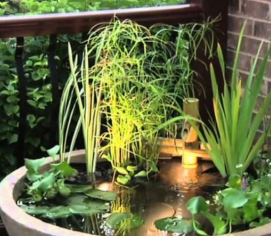 Koop Minivijver voor Tuin en Terras