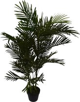 Areca palm - 120 cm