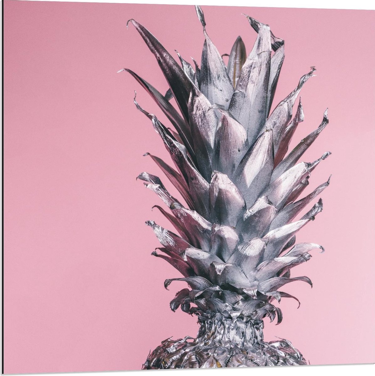 Dibond - Zilveren Ananas op Roze Achtergrond - 80x80cm Foto op Aluminium (Wanddecoratie van metaal)