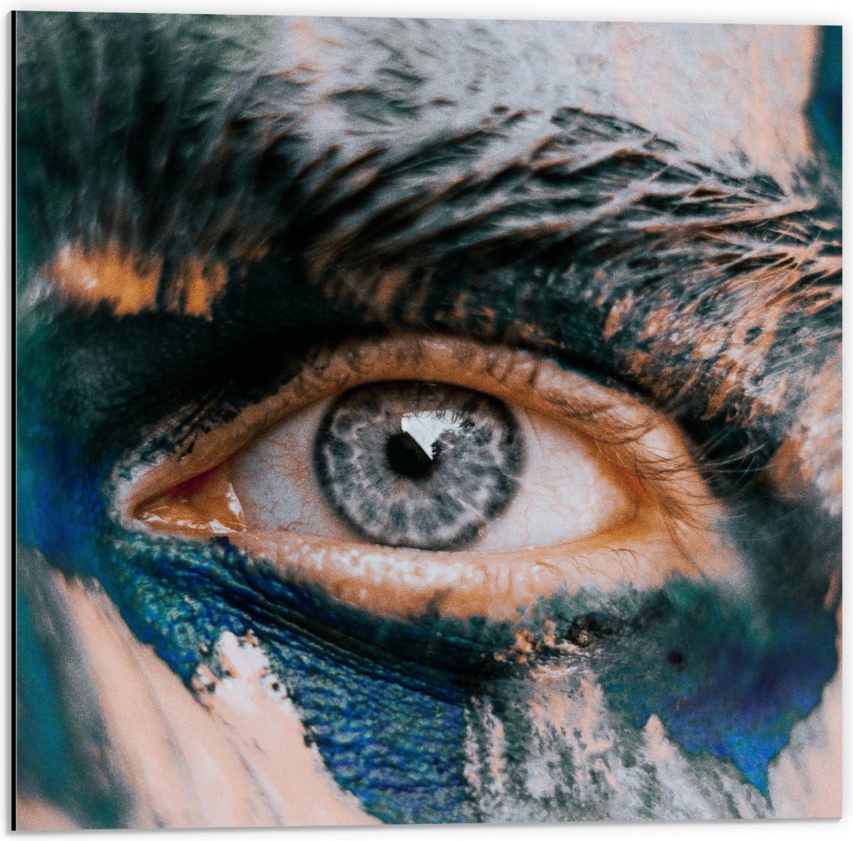 Dibond - Blauw Oog met Blauwe Verf - 50x50cm Foto op Aluminium (Met Ophangsysteem)