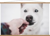 Schoolplaat – Witte Hond Krijgt Snoepje - 120x80cm Foto op Textielposter (Wanddecoratie op Schoolplaat)