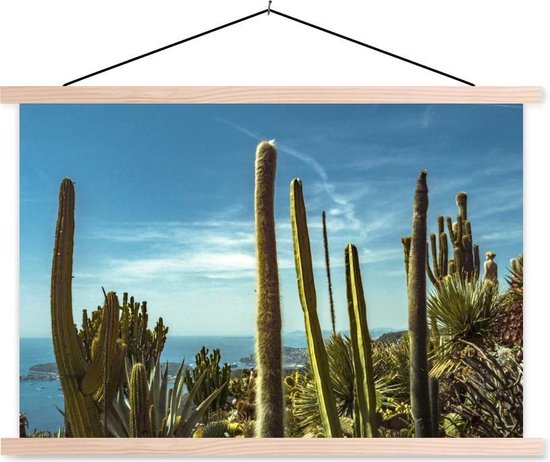 Cactussen aan de kust van de Middellandse Zee schoolplaat platte latten blank 150x100 cm - Foto print op textielposter (wanddecoratie woonkamer/slaapkamer) / Zee en Strand