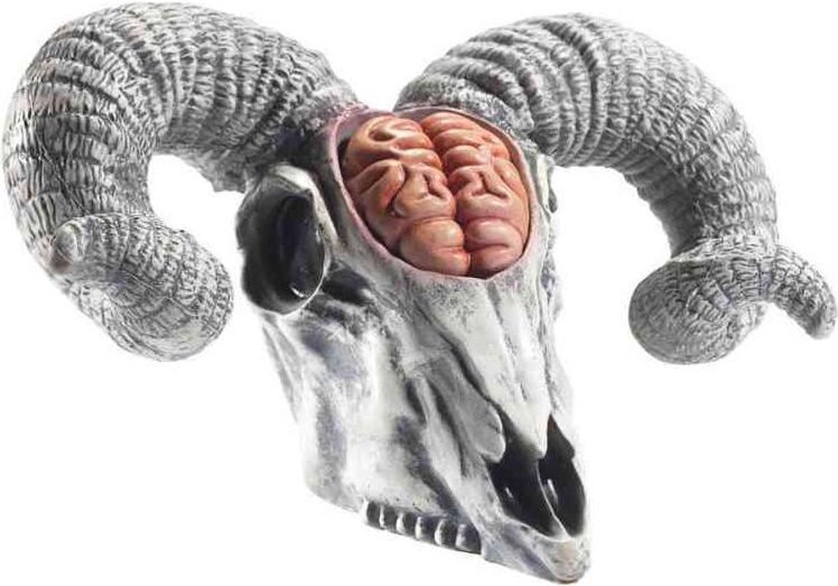Afbeelding van product Smiffys Halloween Decoratie Latex Rams Skull Prop Grijs