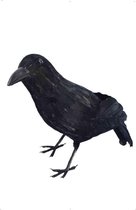 Smiffys Halloween Decoratie Crow Zwart