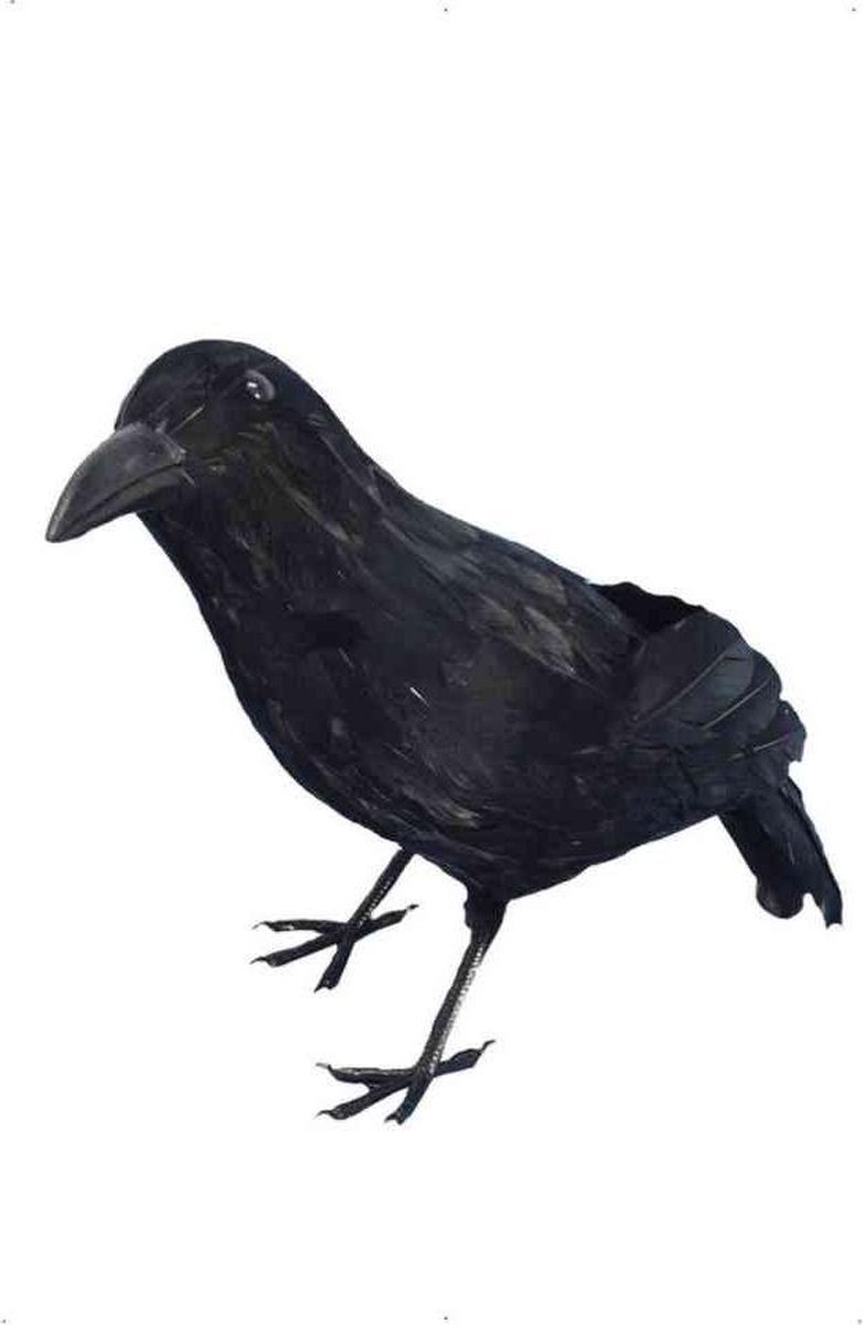 Dressing Up & Costumes | Costumes - Halloween - Crow