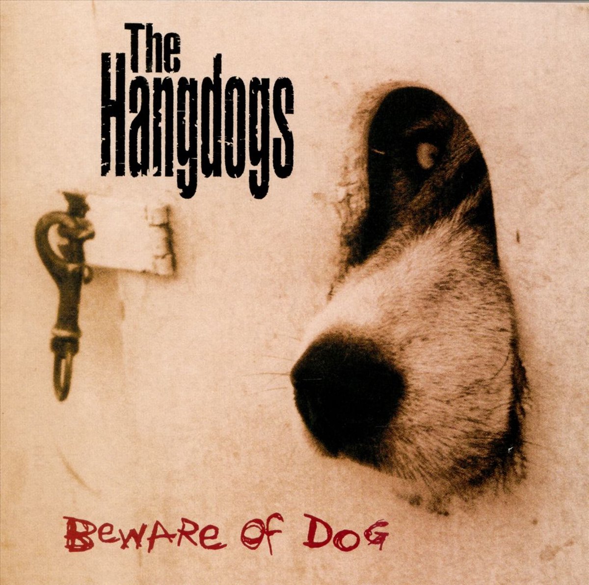 Beware Of Dog