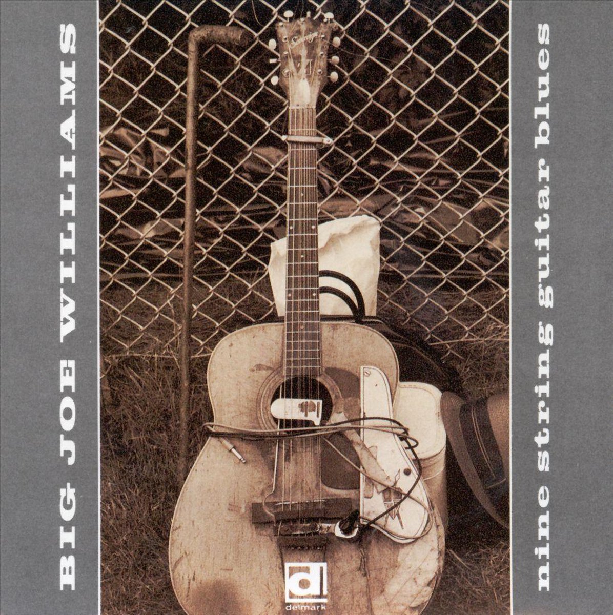 Nine String Guitar Blues