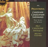 Pro Cantione Antiqua - The Song Of Songs (CD)