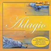 Various Artists - CD Adagio And Catalogue (CD)