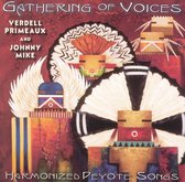 Verdell Primeaux & Johnny Mike - Gathering Of Voices (CD)