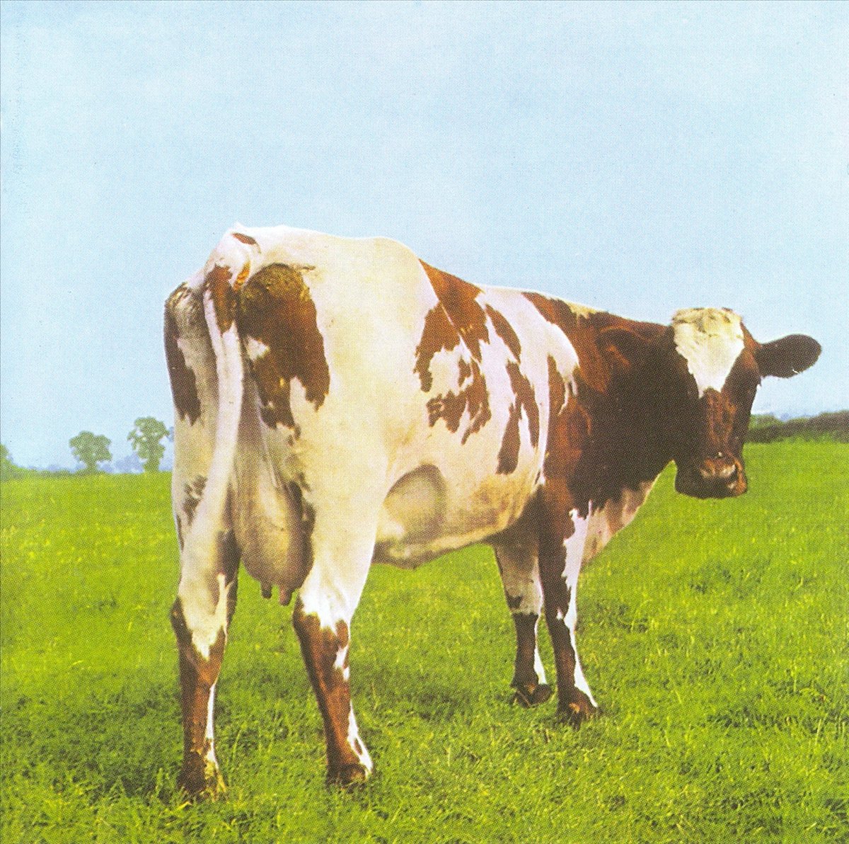 Atom Heart Mother