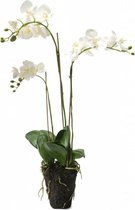 Witte kunstbloem orchidee 75 cm met kluit