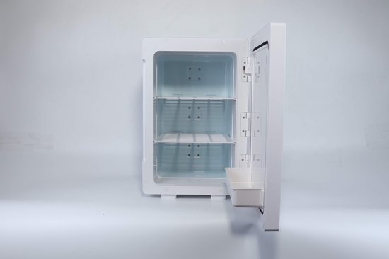 Longwell Mini koelkast 20L - Zilver - Geschikt voor auto/camper/vrachtwagen  met 12v en... | bol.com