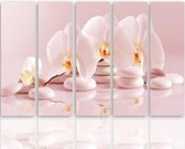 Schilderij , Orchidee op Zen stenen , 4 maten , 5 luik , wit roze , Premium print , XXL